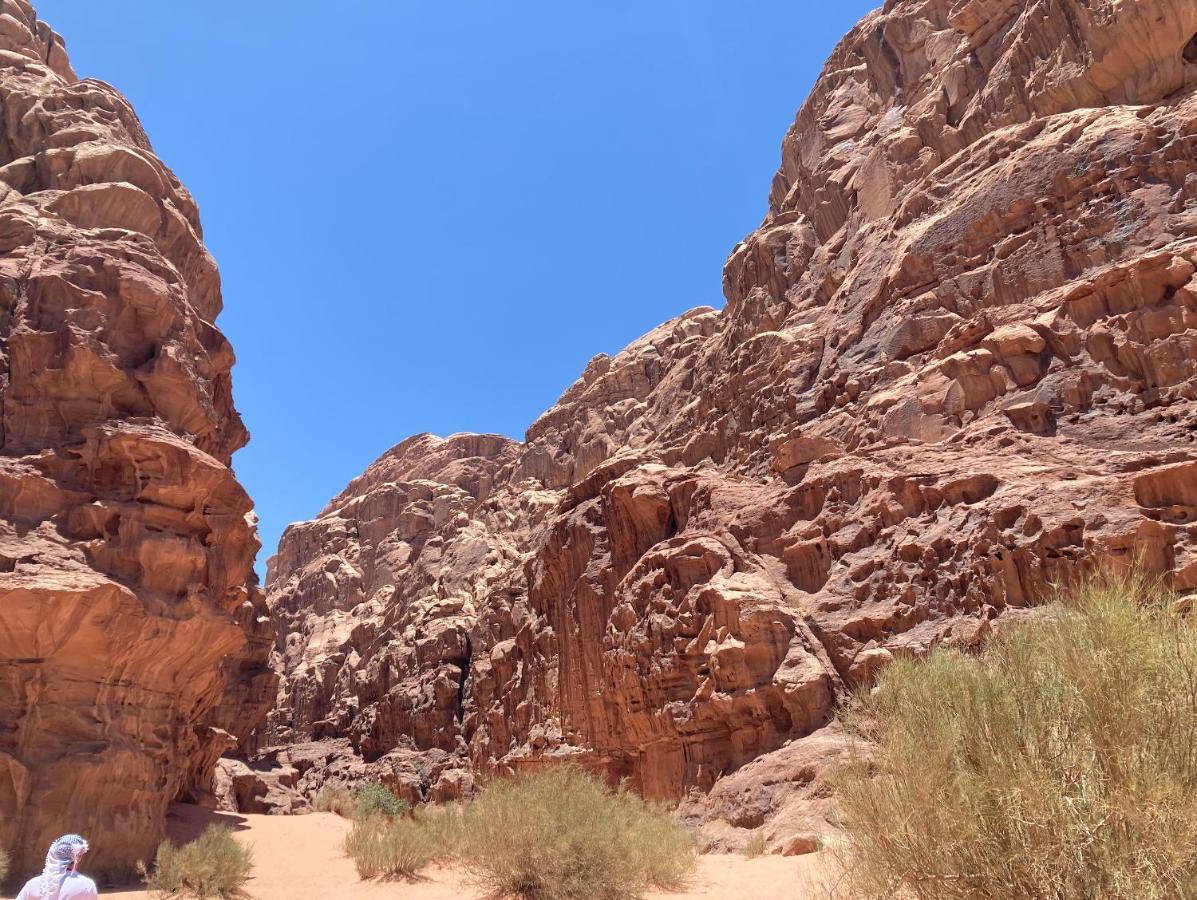 Hotel Bedouin Host Camp& With Tour Wadi Rum Exterior foto