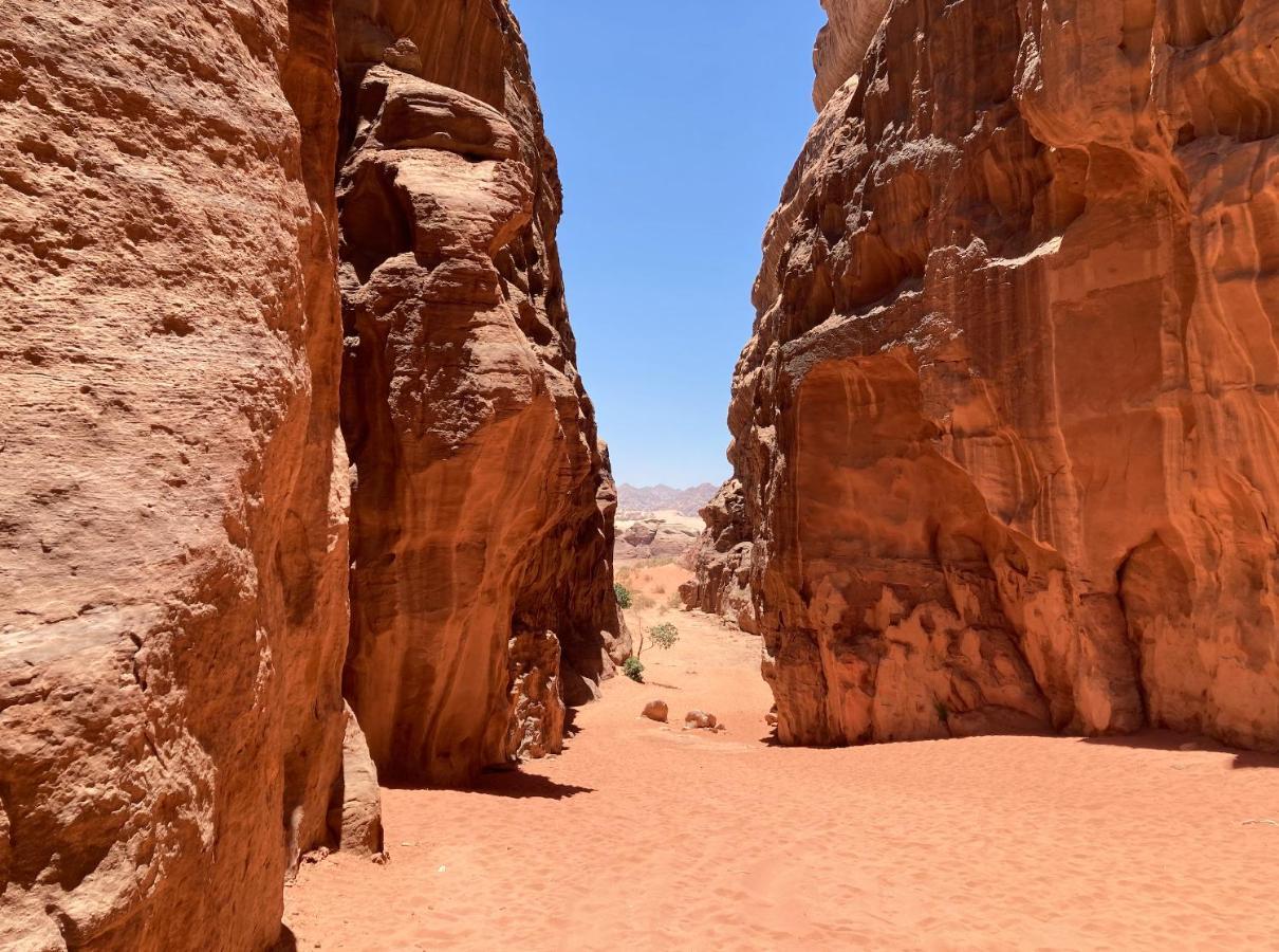 Hotel Bedouin Host Camp& With Tour Wadi Rum Exterior foto
