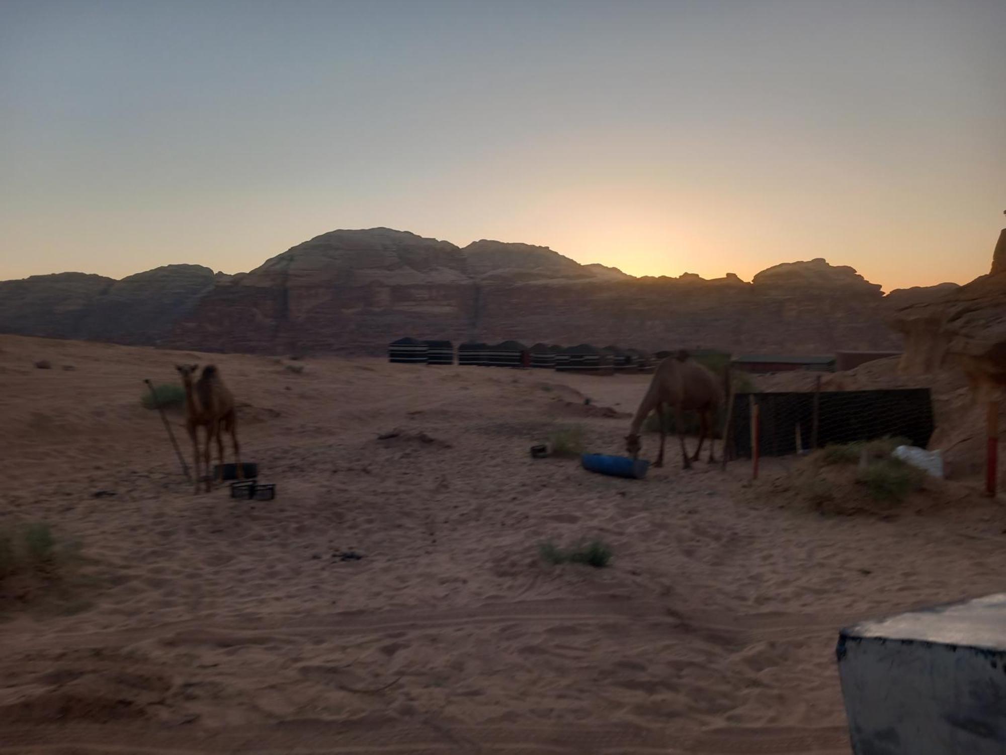 Hotel Bedouin Host Camp& With Tour Wadi Rum Exterior foto