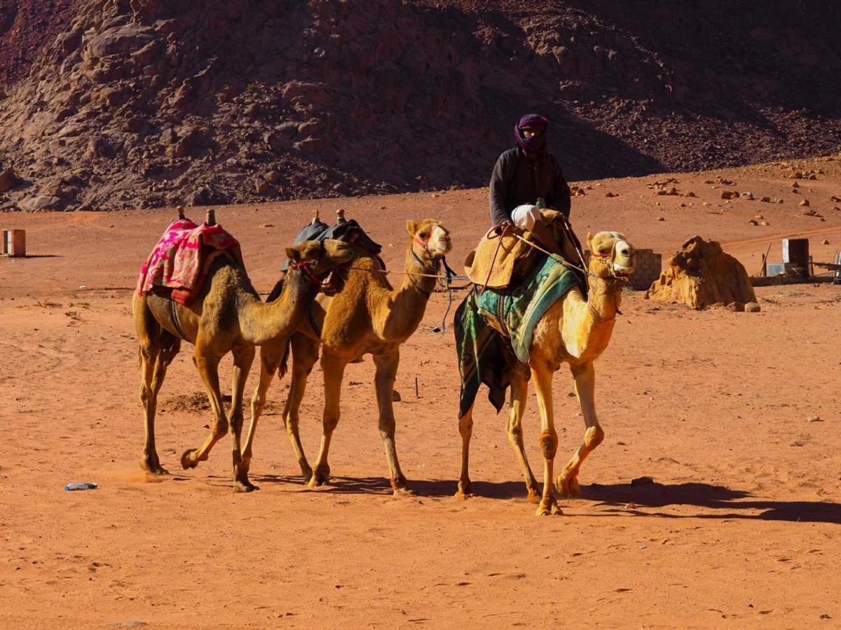 Hotel Bedouin Host Camp& With Tour Wadi Rum Exterior foto